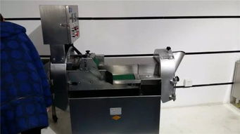 廠家直銷不銹鋼切菜機 多功能仿手工高效切菜機助力廚房升級